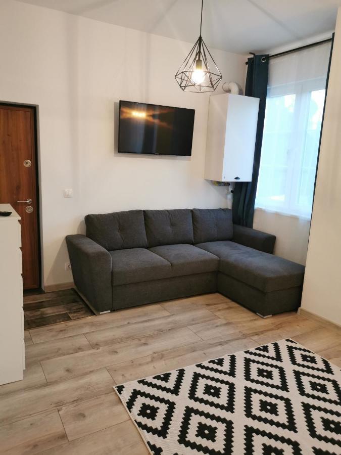 Central Park Studio Петрошани Экстерьер фото